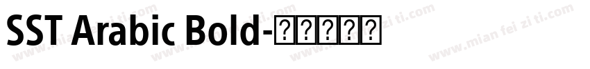 SST Arabic Bold字体转换